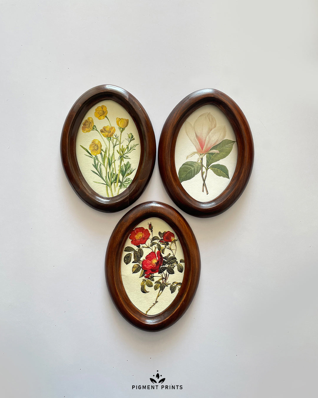 ALMOND FRAME