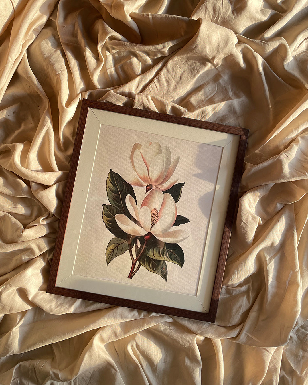 MAGNOLIA